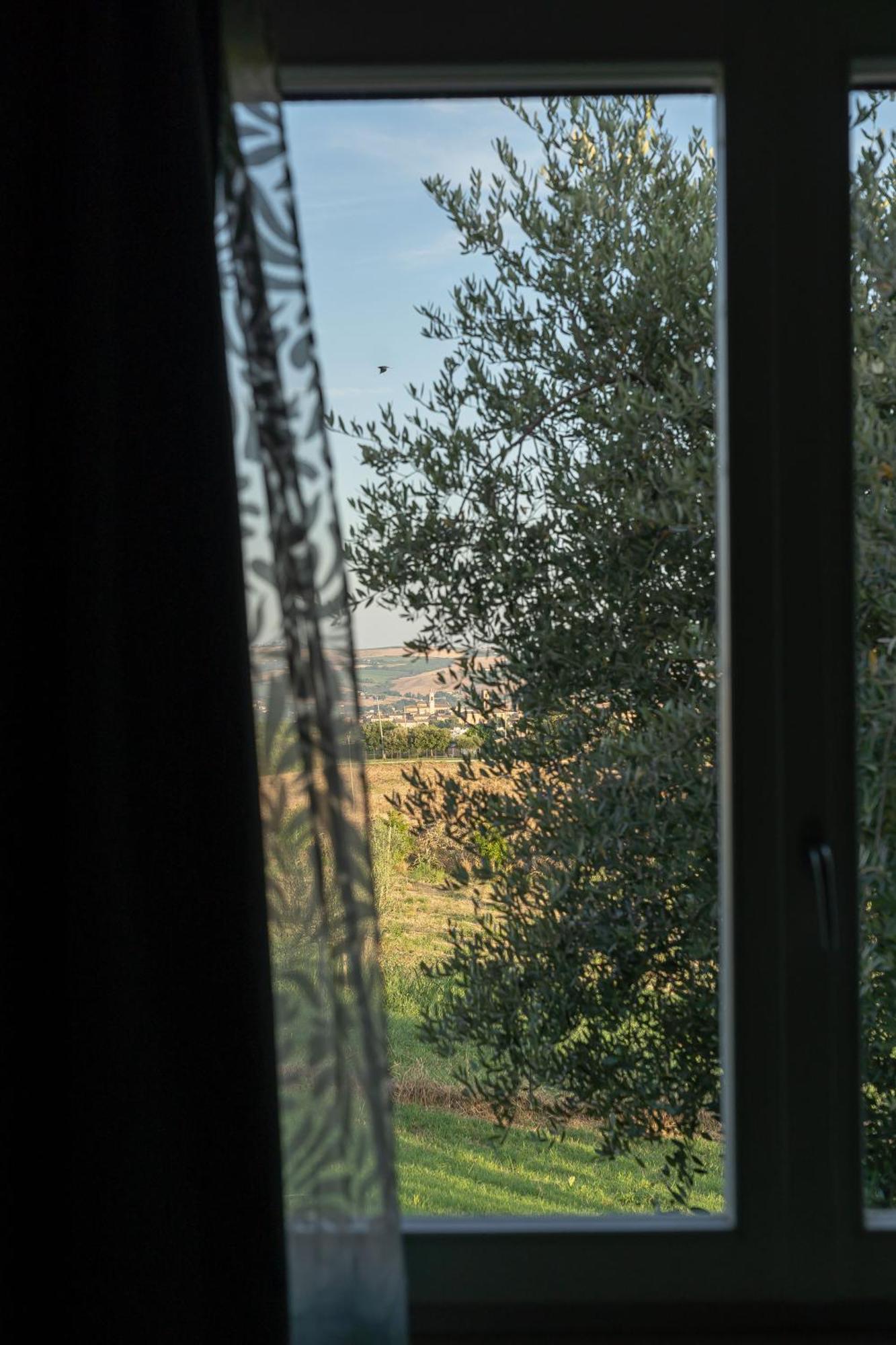 B&B La Figuretta Iesi Εξωτερικό φωτογραφία