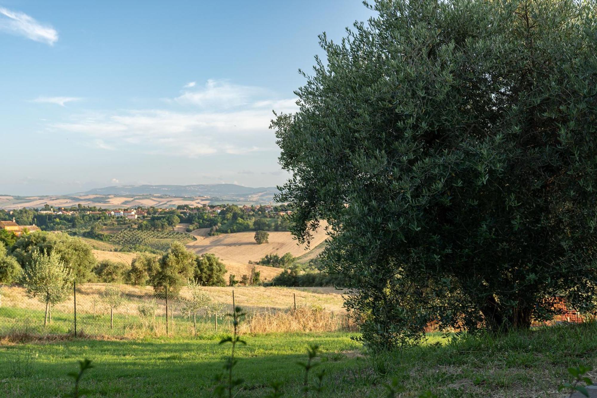 B&B La Figuretta Iesi Εξωτερικό φωτογραφία