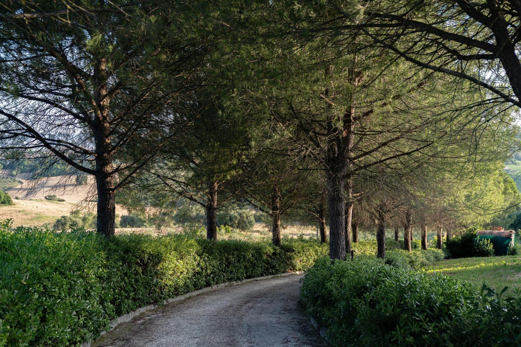 B&B La Figuretta Iesi Εξωτερικό φωτογραφία